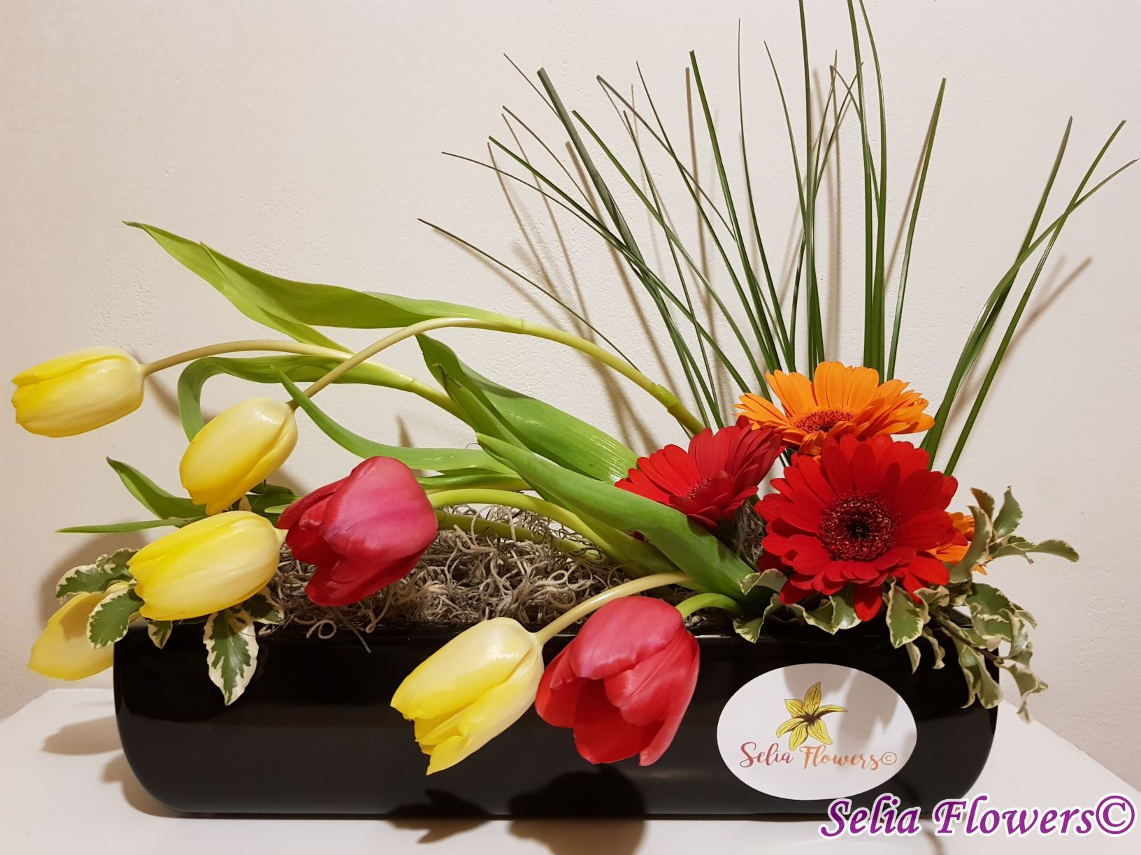 Pentru persoane fizice