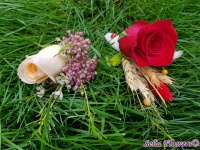 20191006_115138_1313774597