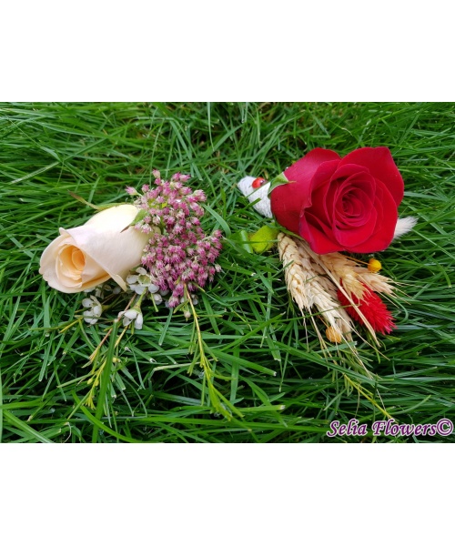 20191006_115138_1313774597