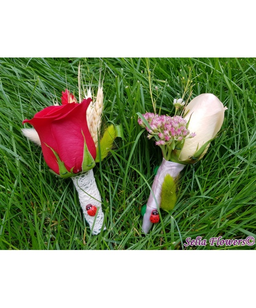 20191006_115148_1358411303